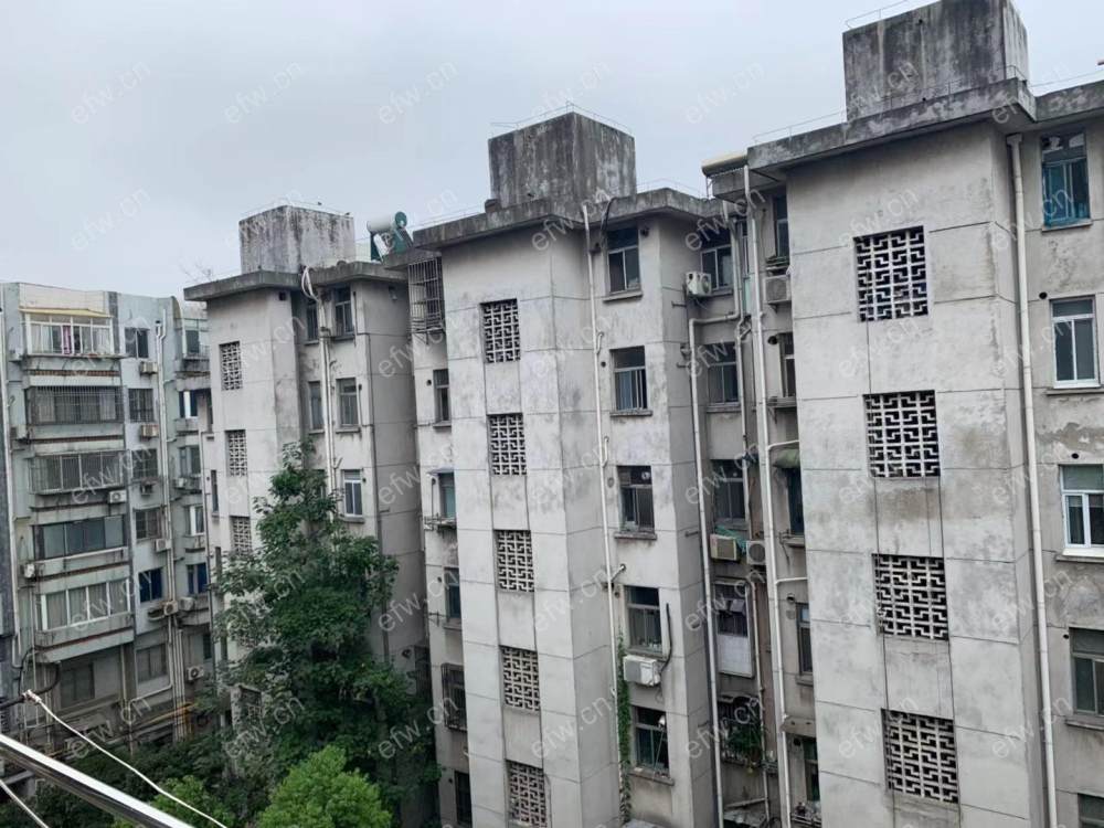 南市桥巷 1室1厅