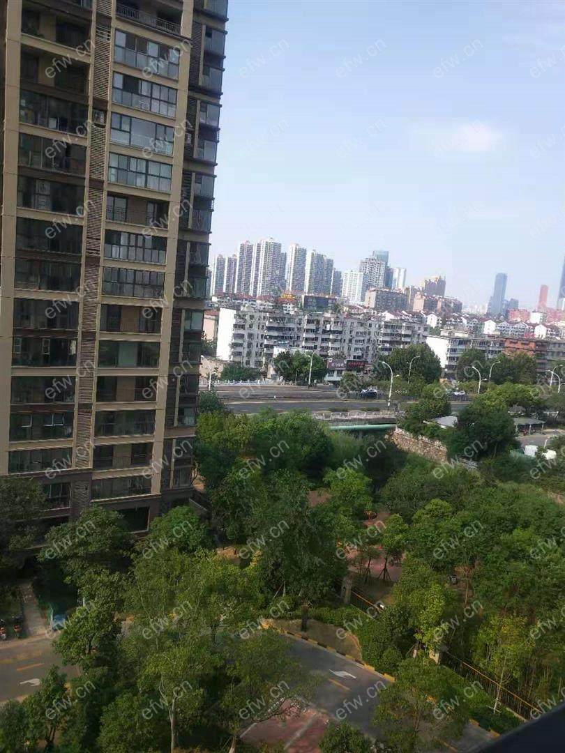 印象湖滨路劲 4室2厅