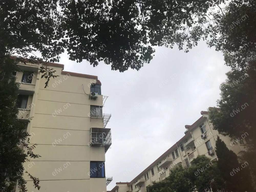 沁园新村 4室2厅