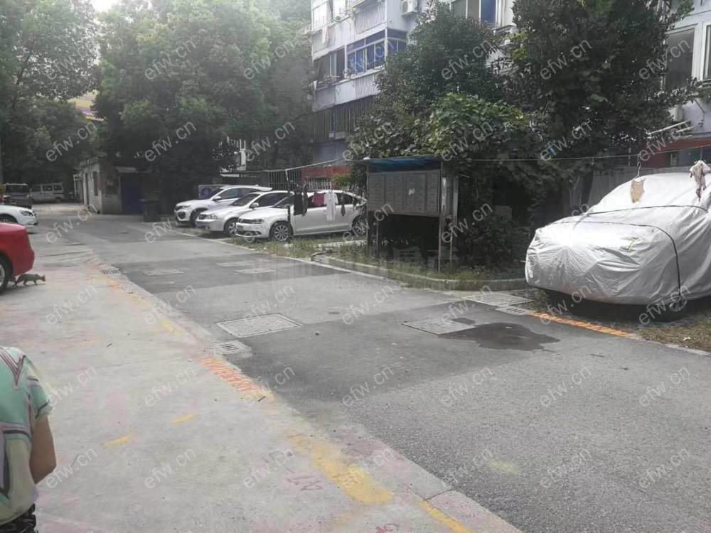 中桥二村精装2室  随时看房 拎包入住