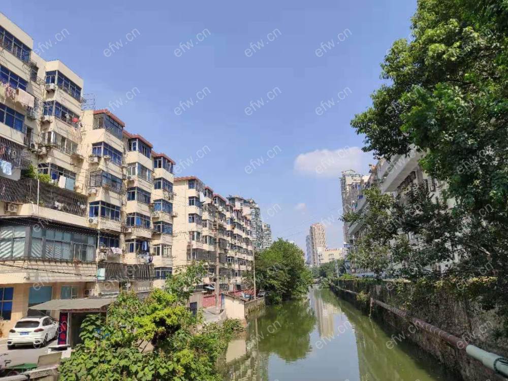 兴东小区(兴隆桥东) 1室1厅