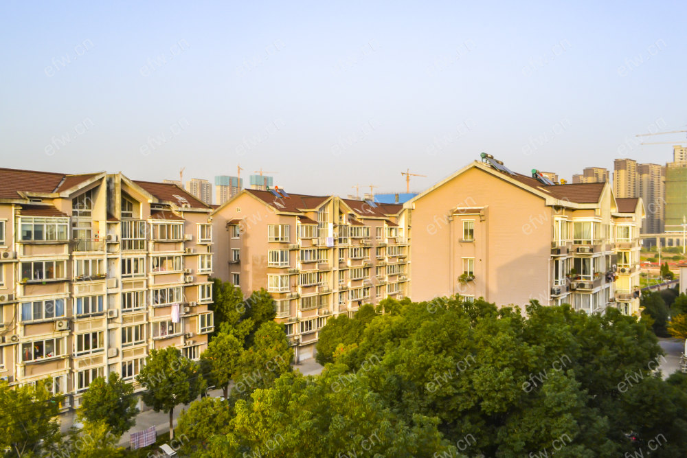 婚装全明东边户3房,天一花园 格局工整合理