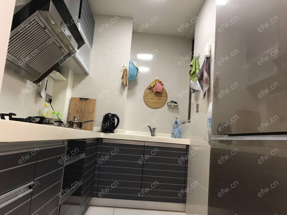 赛格公馆 1室1厅1卫