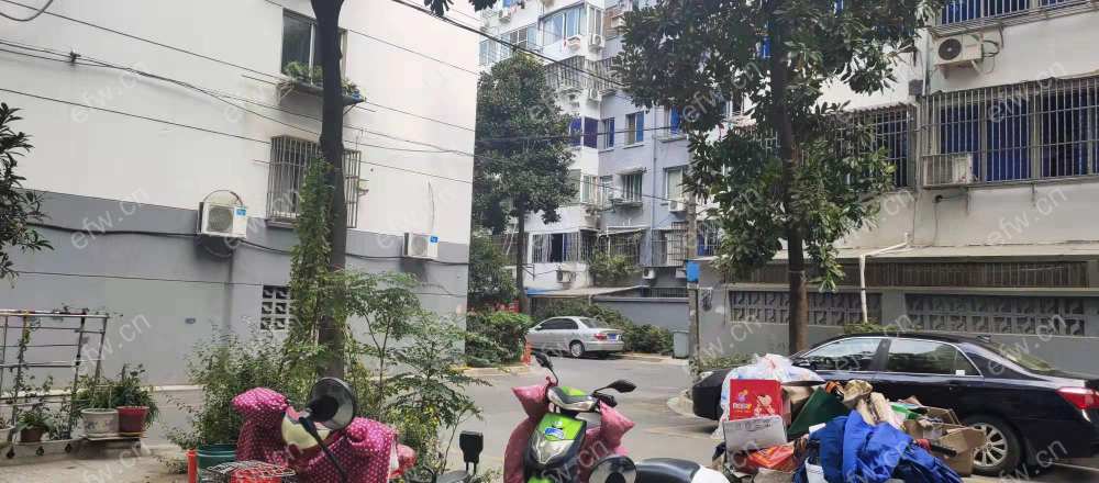 荷花里 3室2厅 采光好