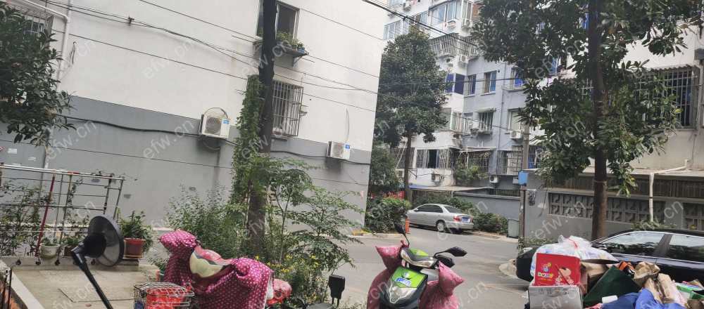 荷花里 3室2厅 采光好