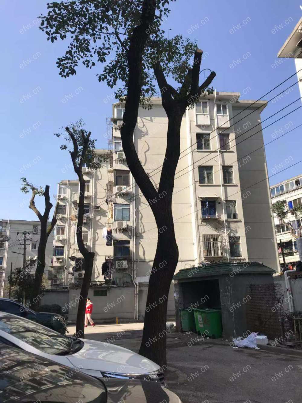 曹张新村 1室1厅