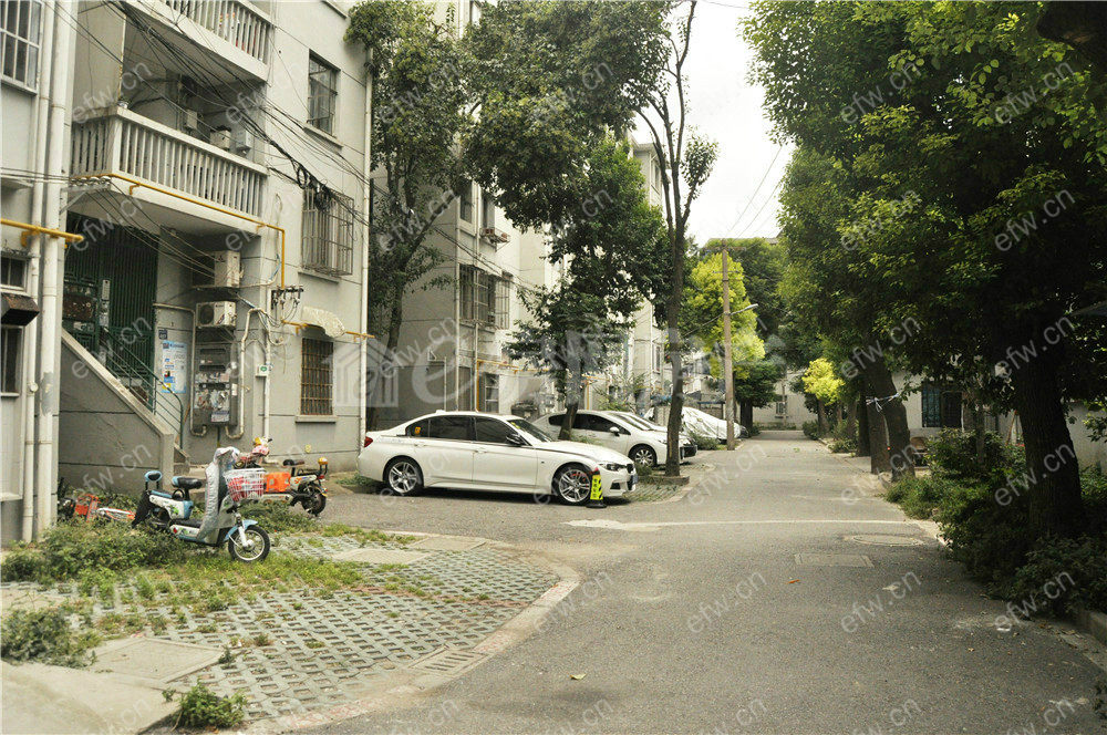 曹张新村 经典2房  全明 精装修！