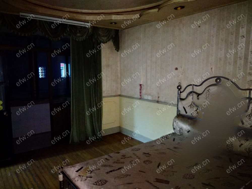 家电齐全 带飘窗 建设新村 采光好 绿化好
