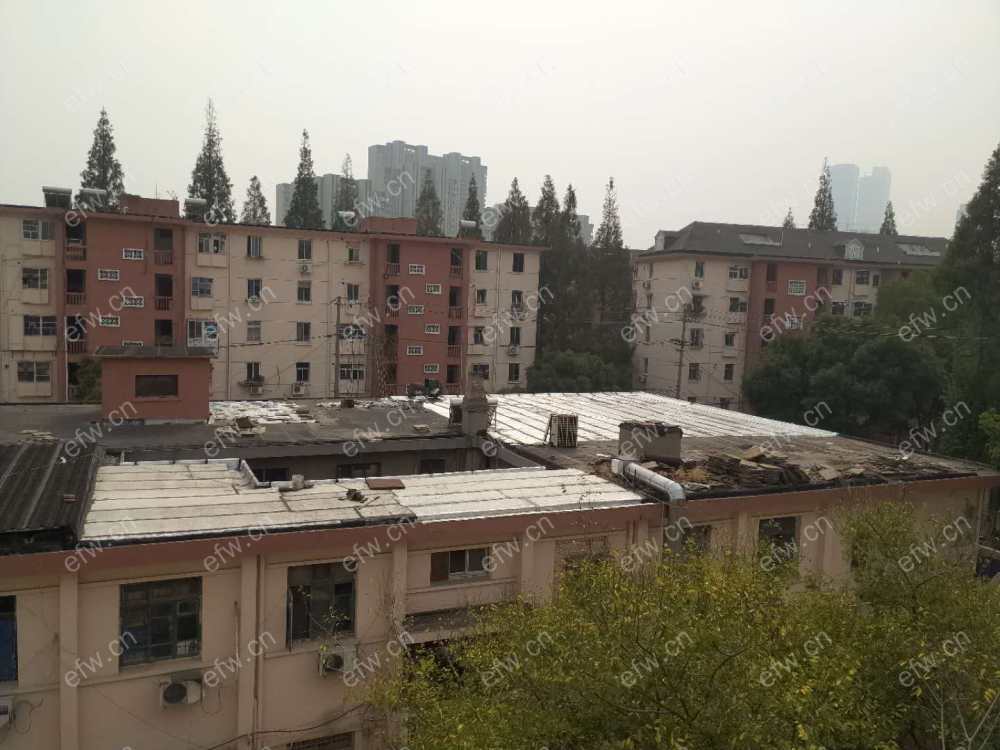 塘南新村 难得一见的精装小户型,总价低,朝向好！