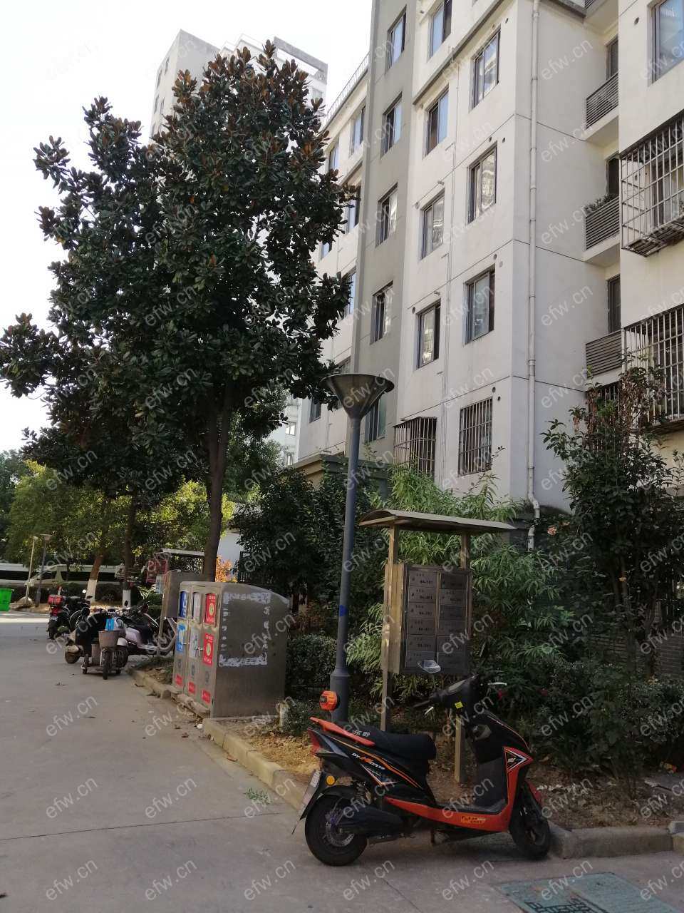 金星苑 1室1厅     交通方便