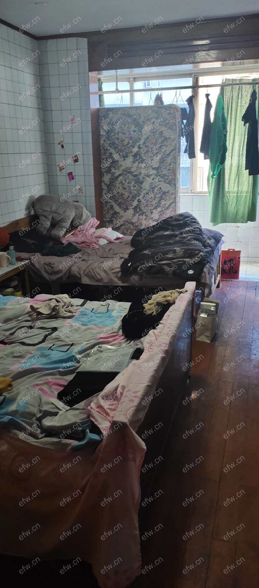荷花里 3室2厅 采光好