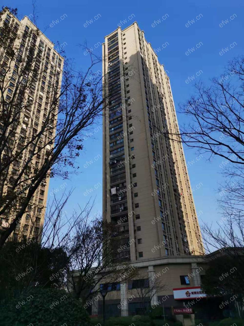 金科世界城C区 1室1厅