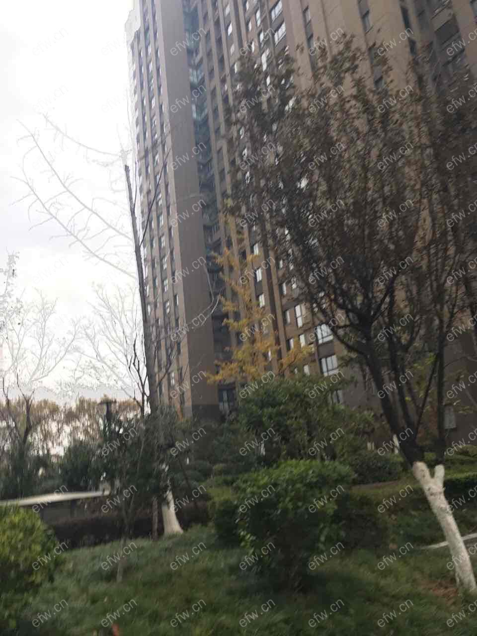 梧桐水岸 3室2厅