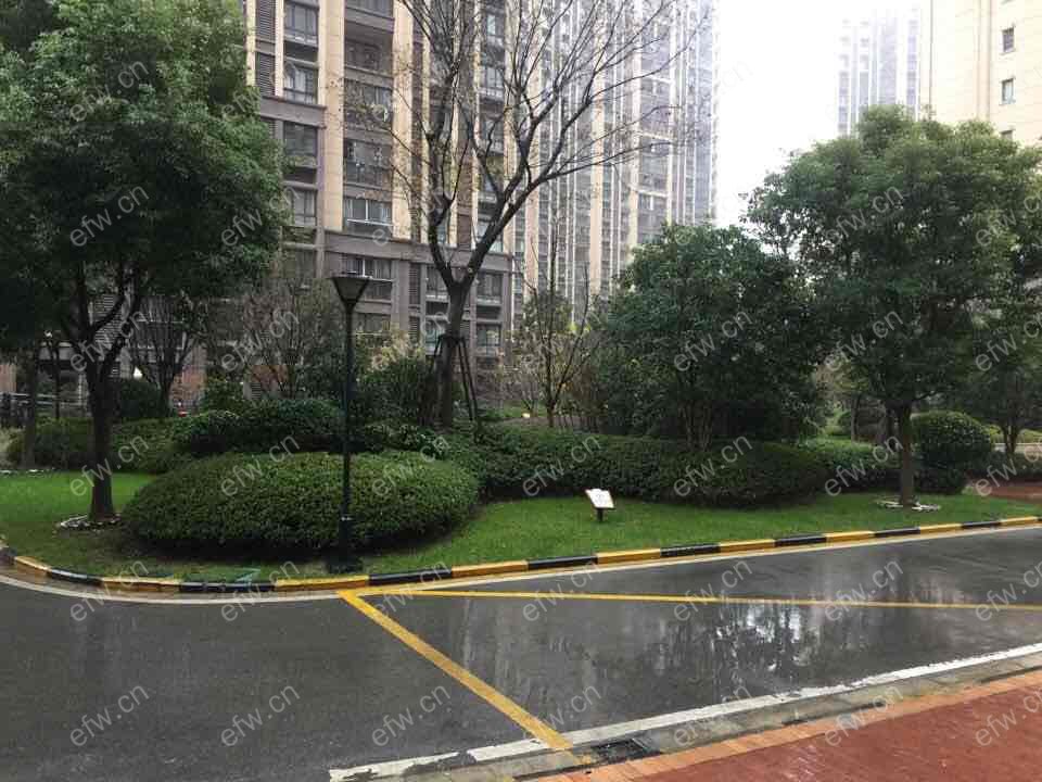 金科中心 3室2厅