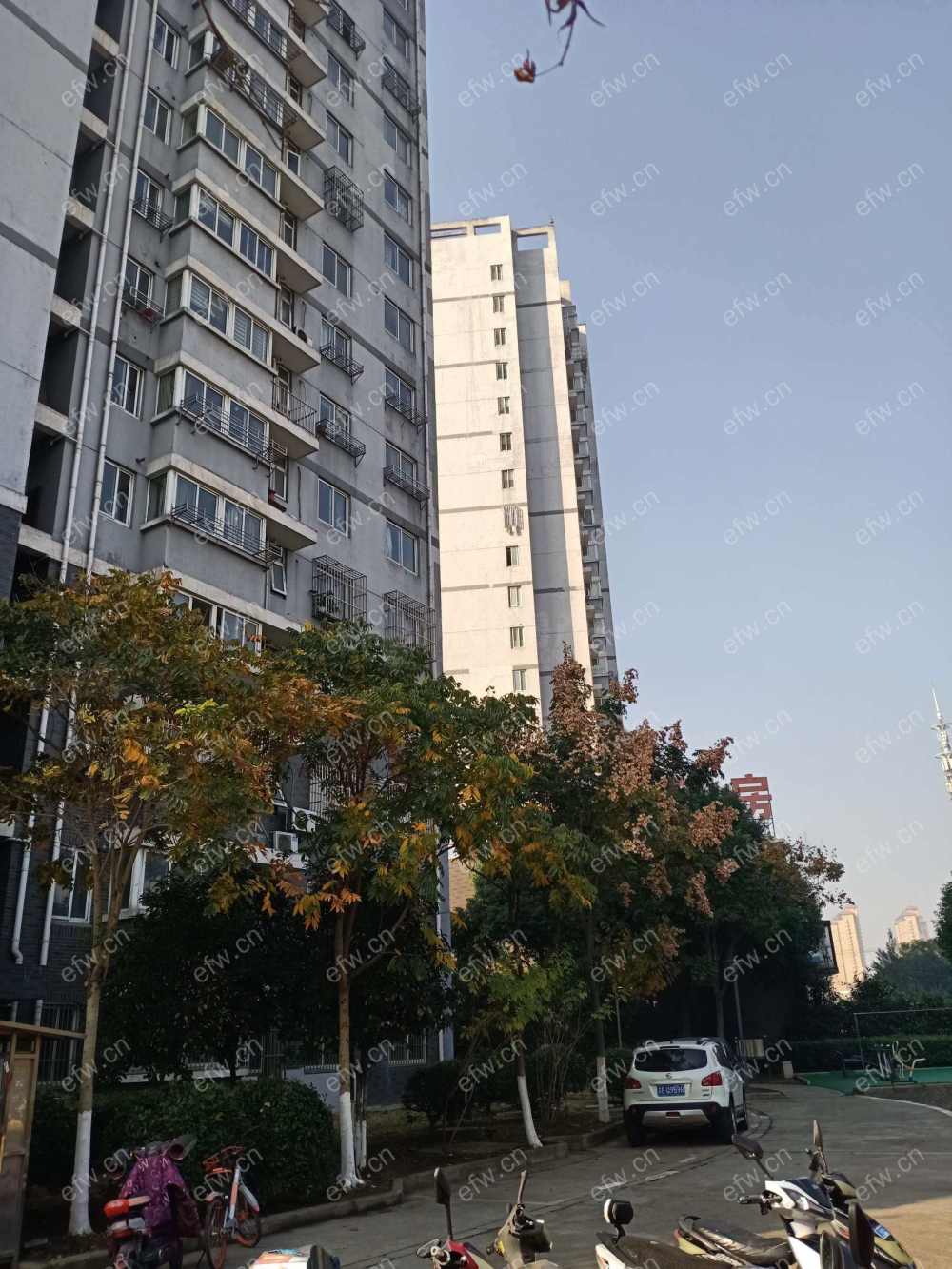 广益景苑           2室2厅