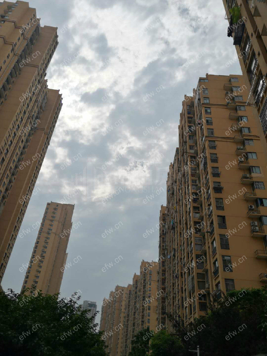 新街家园 2室1厅.....