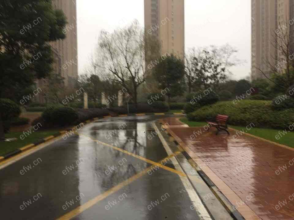 金科中心 3室2厅