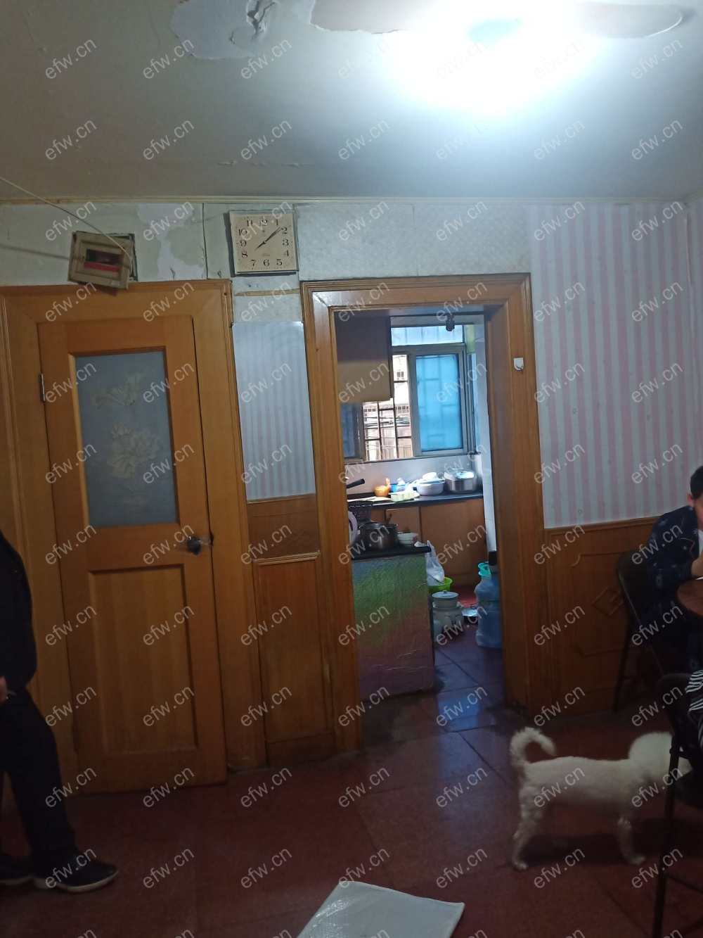 建设新村 1室1厅