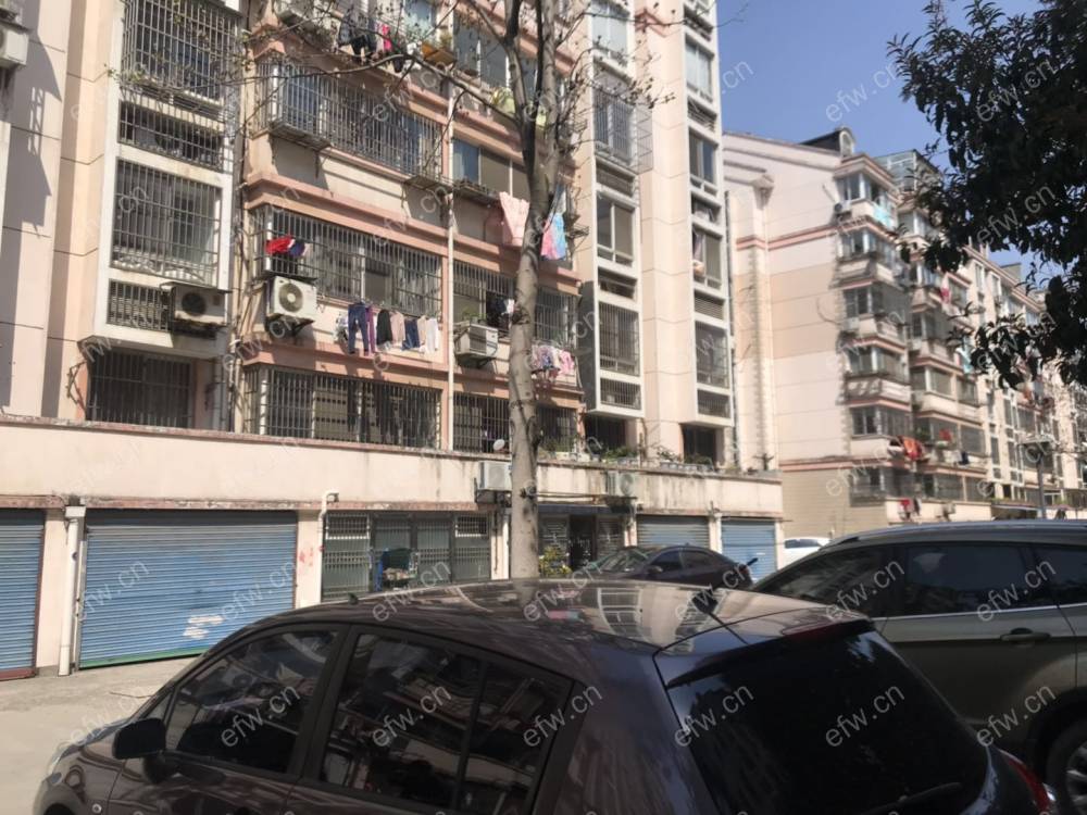 家电齐全 带飘窗 新联苑 采光好 绿化好