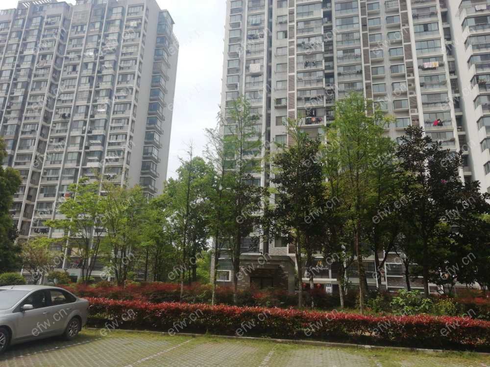 五河苑 4室2厅