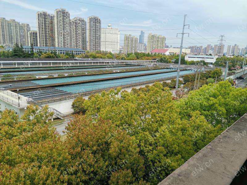 中桥葛巷  2室1厅