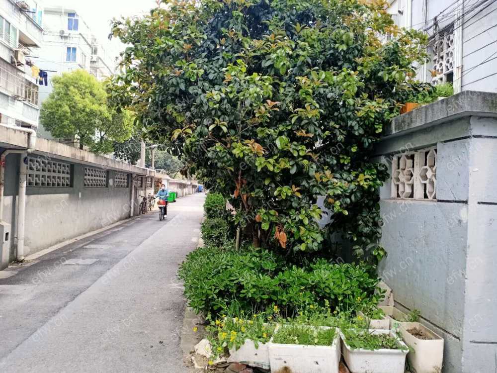 曹张新村 2室1厅1卫