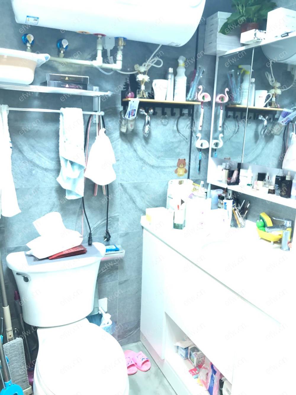 金科米兰尔家住宅(商住楼) 1室1厅
