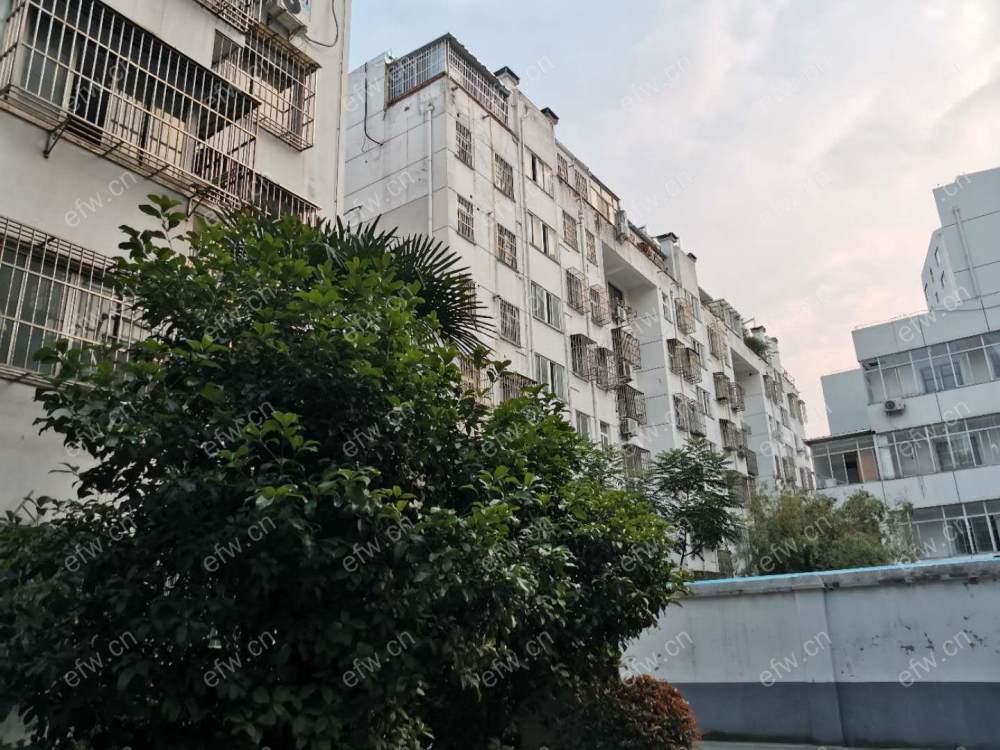 西横街(华源小区) 3室2厅