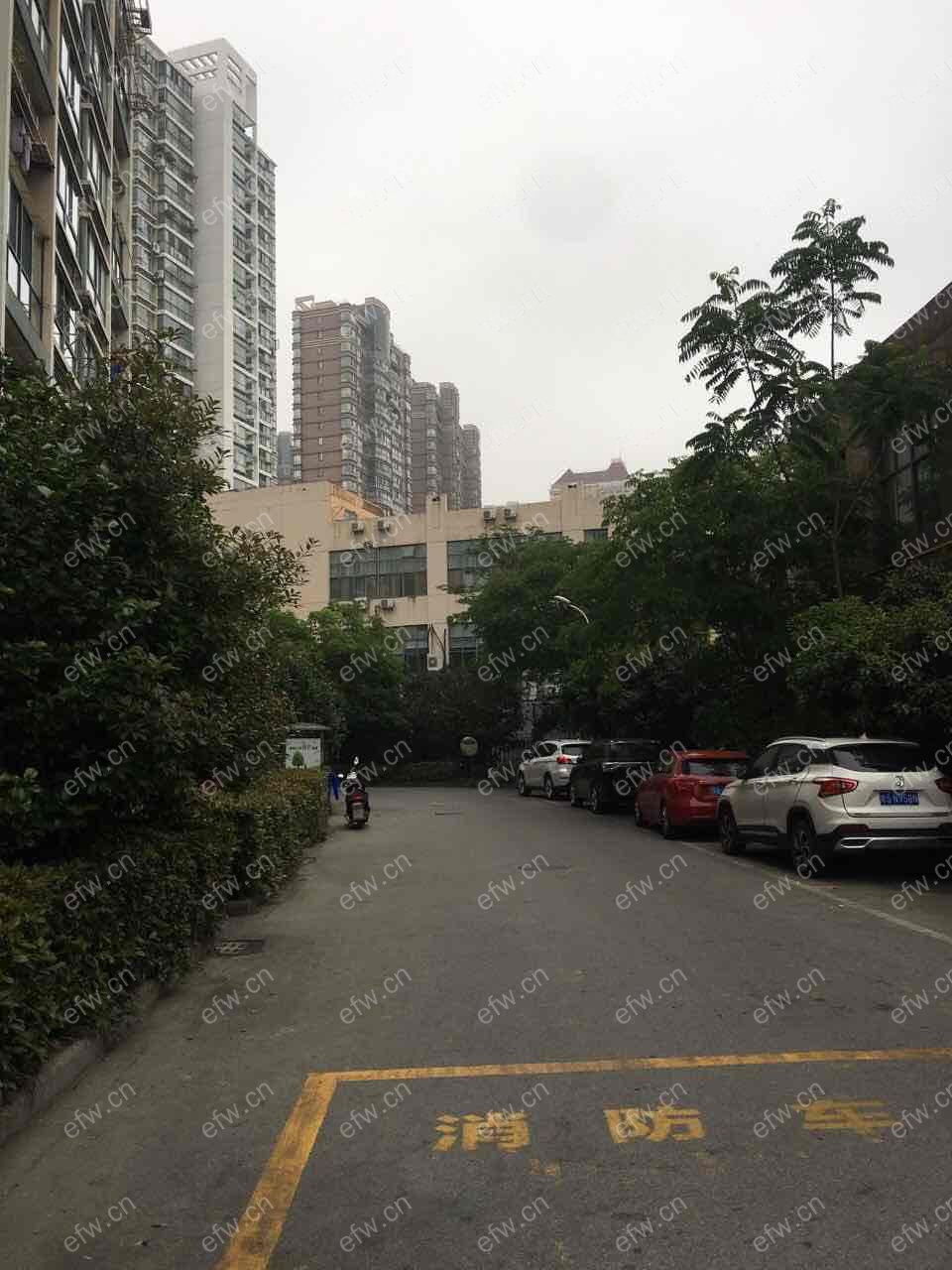 大丁佳苑精装1室  随时看房 拎包入住