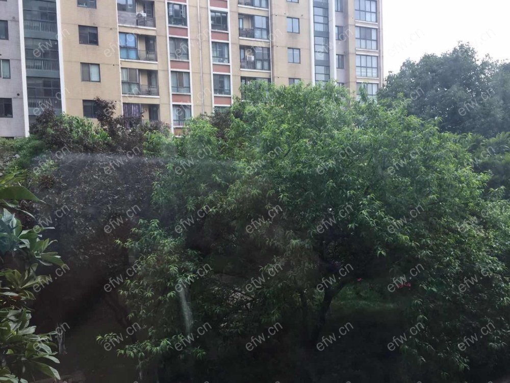 金色江南四期(集景花园) 3室2厅