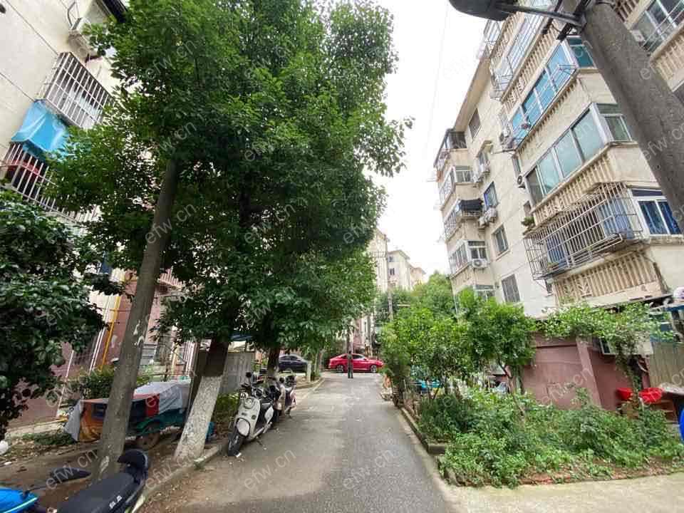 刘潭新村 1室1厅 房东诚心出租