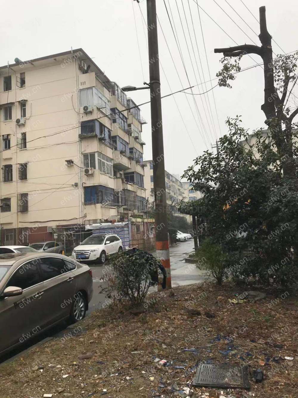塔影二村 1室1厅  环境好
