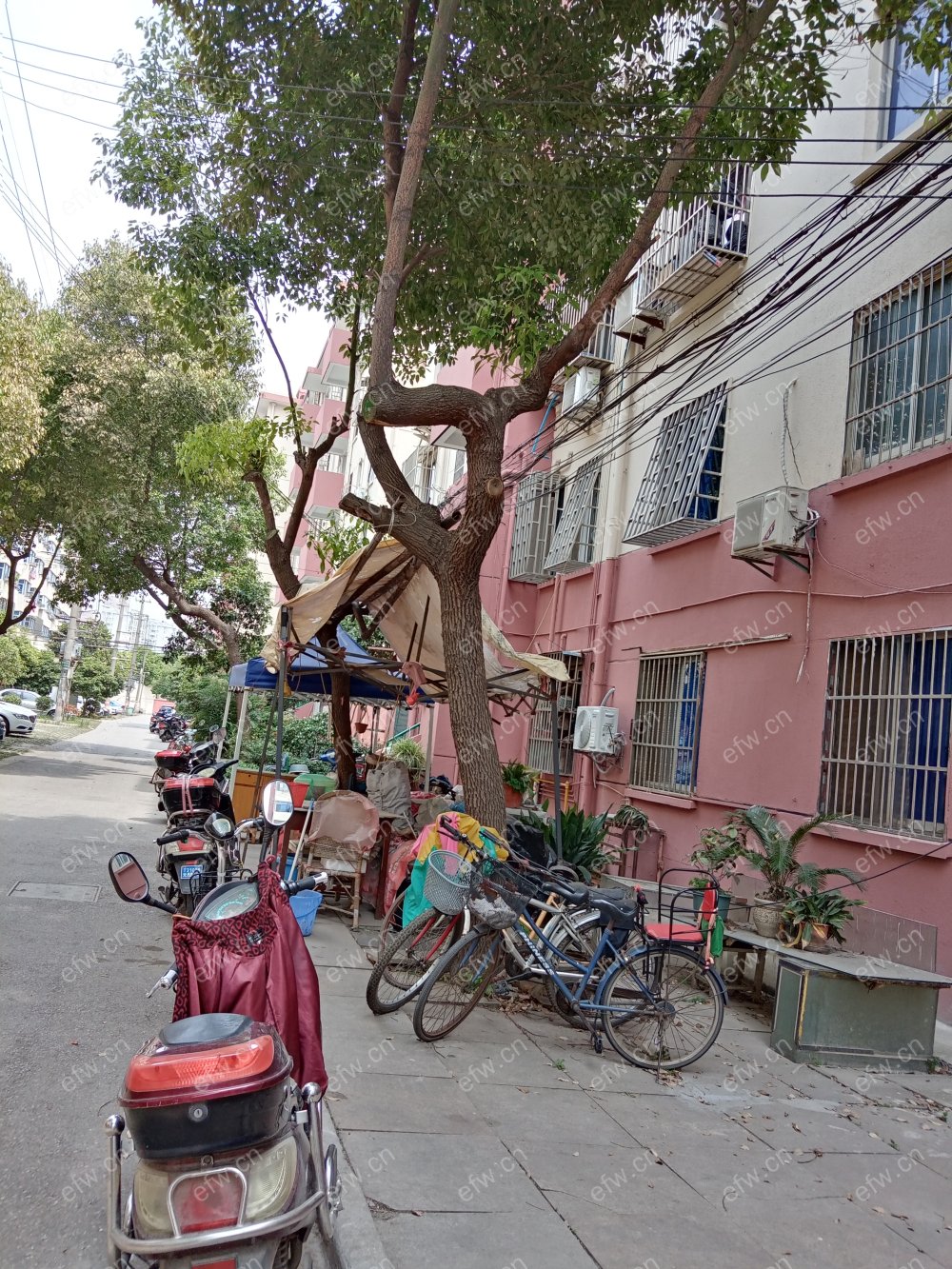 沈巷小区 1室1厅