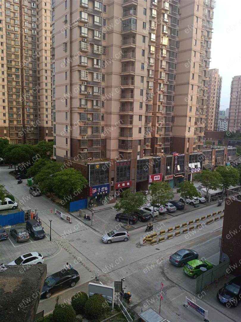 东风家园 ,精装修一室一厅出租