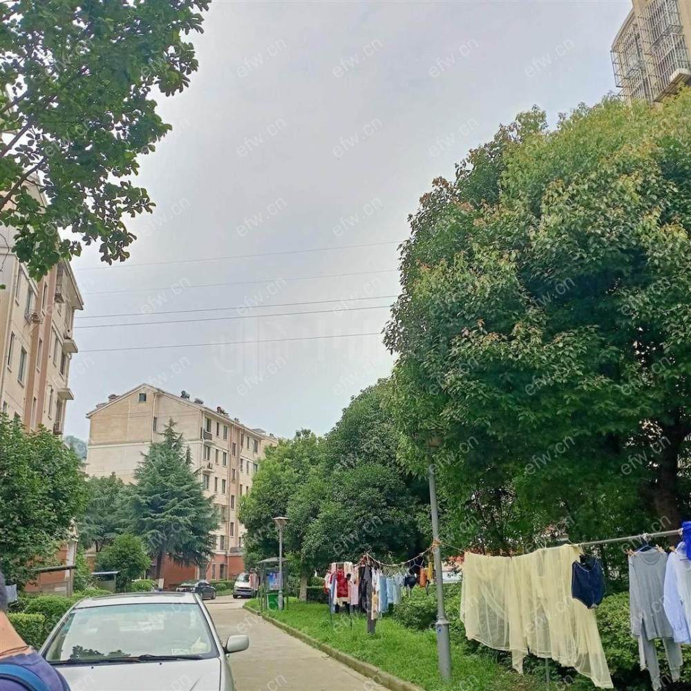 景丽东苑 3室2厅两卫
