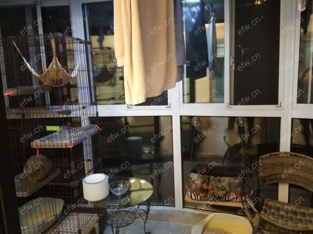 盛岸花园 2室1厅 精装修 拎包入住