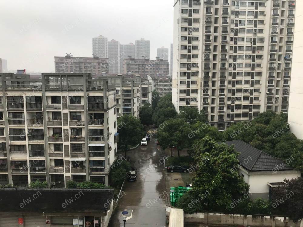 金星苑 1室1厅1卫