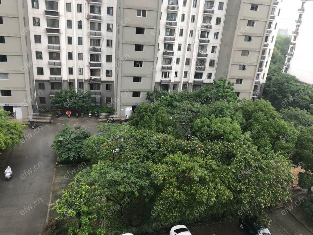 金星苑 1室1厅1卫