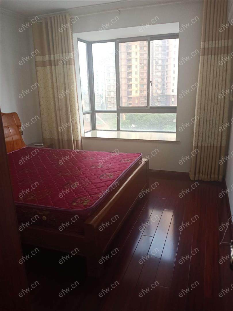 东风家园 ,精装修一室一厅出租