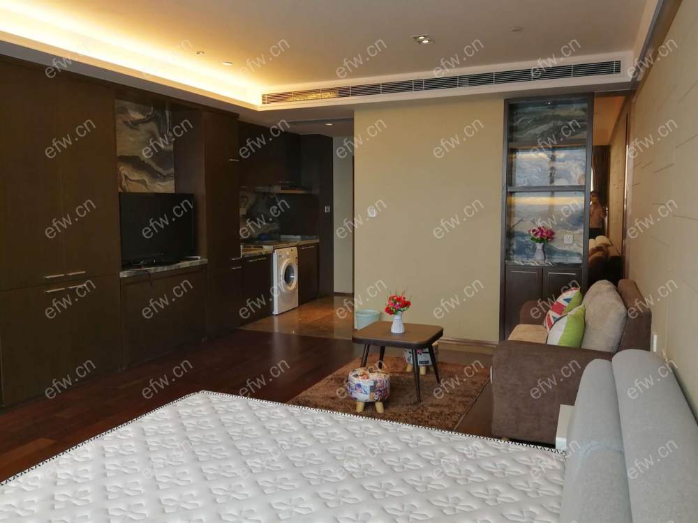苏宁雅悦（文渊街8号） 2室1厅
