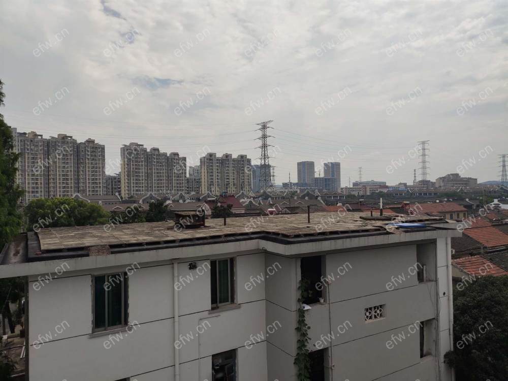 张巷新村     1室1厅.....