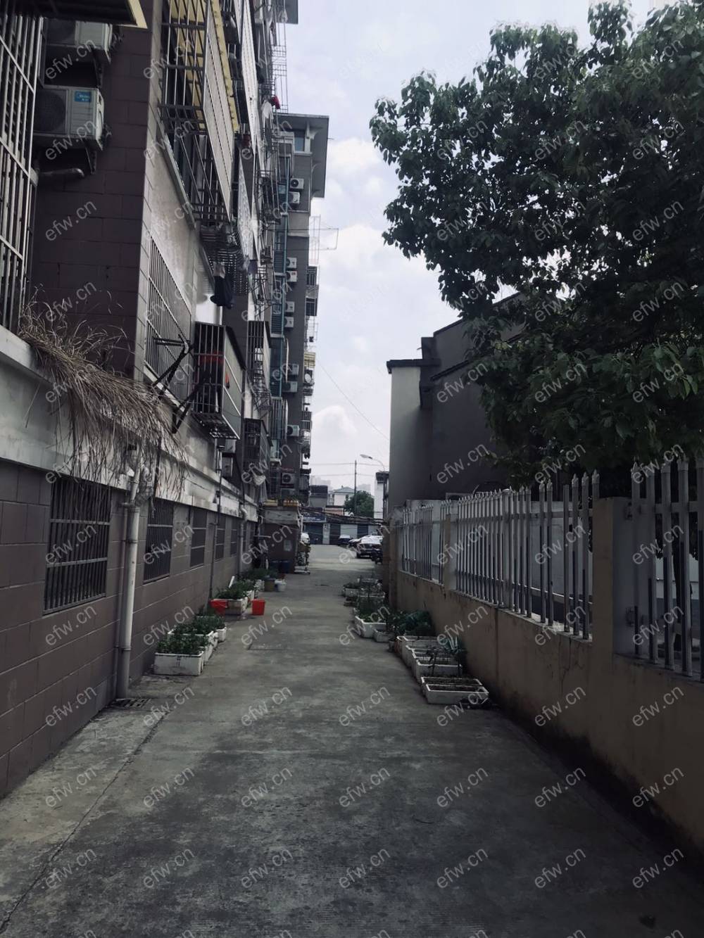 钱桥花园路