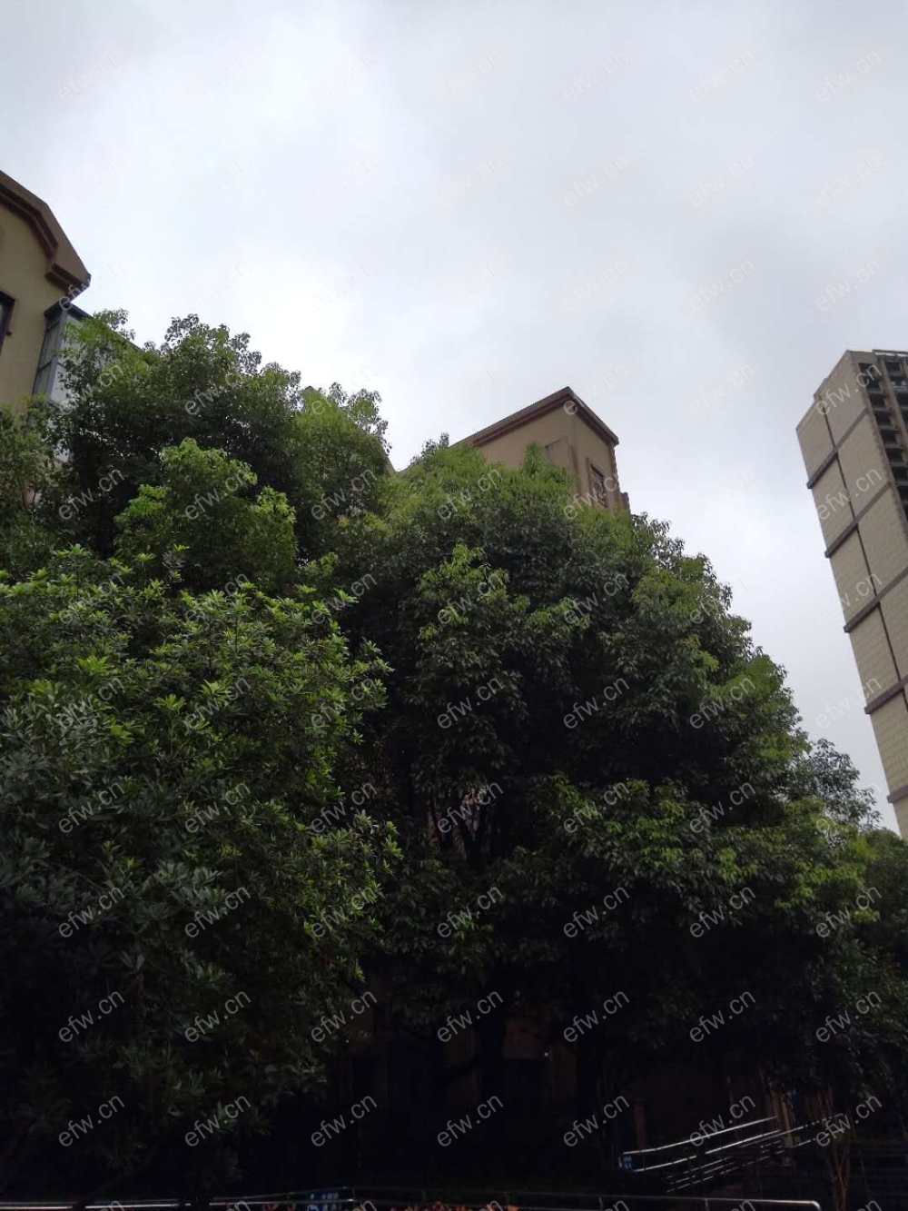 东宝康园