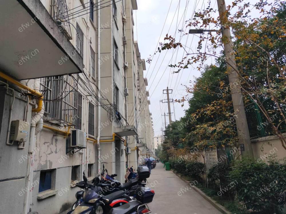 桃园新村 经典2房 东边户 全明 精装修！