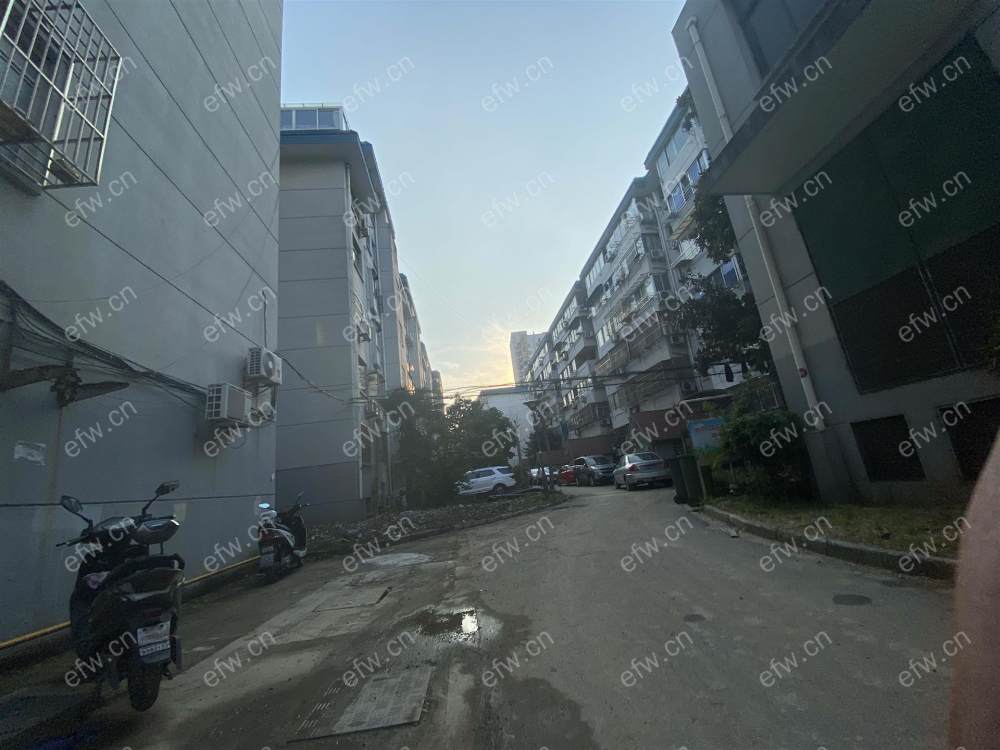 金海里 2室1厅  简装设施齐全