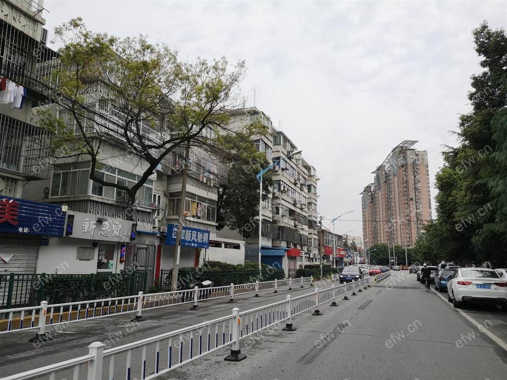 家电齐全 带飘窗 曹张新村 采光好 绿化好