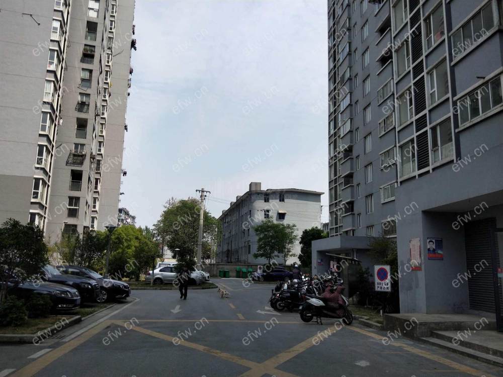 塘泾里小高层电梯房，通透户型 3室2厅