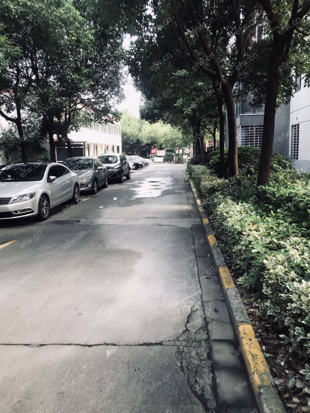 天马名苑