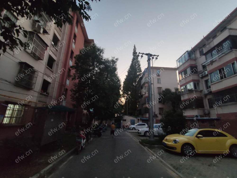 塘南新村 3室1厅 一楼带双院子 采光好