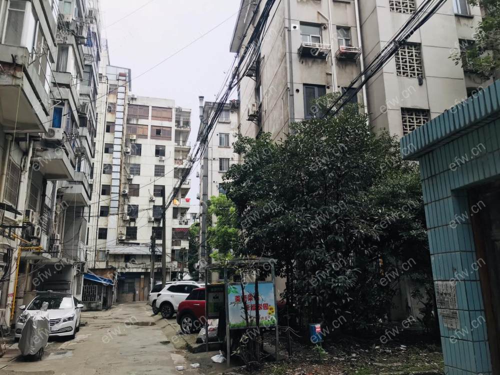 南市桥巷 2室1厅